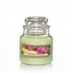 Yankee Candle Pineapple Cilantro Housewarmer 104g