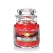 Yankee Candle Serengeti Sunset Housewarmer 104g