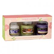 Yankee Candle Housewarmer 105g 3er Set Floral