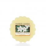 Yankee Candle Tobacco Flower Duftwachs Tart