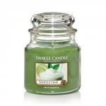 Yankee Candle Vanilla Lime Housewarmer 411g