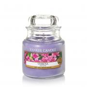 Yankee Candle Verbena Housewarmer 104g