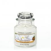 Yankee Candle White Gardenia Housewarmer 104g