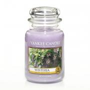 Yankee Candle Wisteria Housewarmer 625g