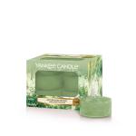 Yankee Candle Afternoon Escape Teelichte 12 Stk.