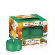 Yankee Candle Alfresco Afternoon Teelichte 12 Stk. Yankee Candle Alfresco Afternoon Teelichte 12 Stk.