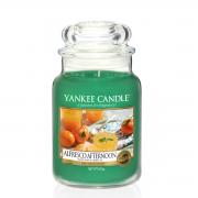 Yankee Candle Alfresco Afternoon Housewarmer 623g