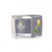 Yankee Candle Black Tea & Lemon Filled Votive