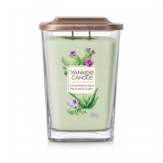 Yankee Candle Cactus Flower & Agave 2-Docht-Kerze 552g