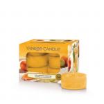 Yankee Candle Calamansi Cocktail Teelichte 12 Stk. Yankee Candle Calamansi Cocktail Teelichte 12 Stk.