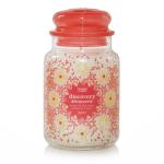 Yankee Candle Discovery Housewarmer 623g Yankee Candle Discovery Housewarmer 623g
