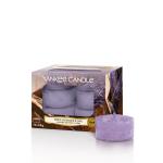 Yankee Candle Dried Lavender & Oak Teelichte 12 Stk.