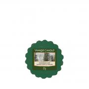 Yankee Candle Evergreen Mist Duftwachs Tart