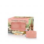 Yankee Candle Garden Picnic Teelichte 12 Stk. Yankee Candle Garden Picnic Teelichte 12 Stk.