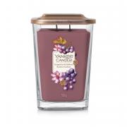 Yankee Candle Grapevine & Saffron 2-Docht-Kerze 552g