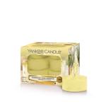 Yankee Candle Homemade Herb Lemonade Teelichte 12 Stk.