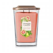 Yankee Candle Jasmine & Pomelo 2-Docht-Kerze 552g