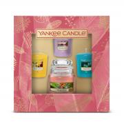 Yankee Candle Housewarmer 104g + Sampler Set