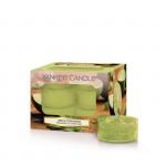 Yankee Candle Lime & Coriander Teelichte 12 Stk. Yankee Candle Lime & Coriander Teelichte 12 Stk.