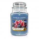 Yankee Candle Mulberry & Fig Delight Housewarmer 623g