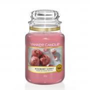 Yankee Candle Roseberry Sorbet Housewarmer 623g