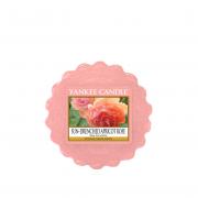 Yankee Candle Sun-Drenched Apricot Rose Duftwachs Tart