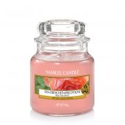 Yankee Candle Sun-Drenched Apricot Rose Housewarmer 104g