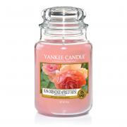 Yankee Candle Sun-Drenched Apricot Rose Housewarmer 623g