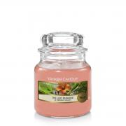 Yankee Candle The Last Paradise Housewarmer 104g