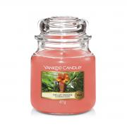 Yankee Candle The Last Paradise Housewarmer 411g