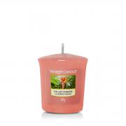 Yankee Candle The Last Paradise Sampler