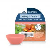 Yankee Candle The Last Paradise Wax Melt