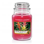Yankee Candle Tropical Jungle Housewarmer 623g