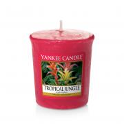 Yankee Candle Tropical Jungle Sampler