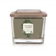 Yankee Candle Vetiver & Black Cypress 3-Docht-Kerze 347g