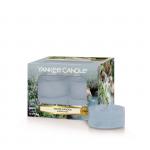 Yankee Candle Water Garden Teelichte 12 Stk. Yankee Candle Water Garden Teelichte 12 Stk.
