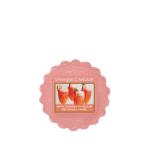 Yankee Candle White Strawberry Bellini Duftwachs Tart Yankee Candle White Strawberry Bellini Duftwachs Tart