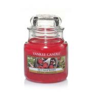 Yankee Candle Red Raspberry Housewarmer 104g