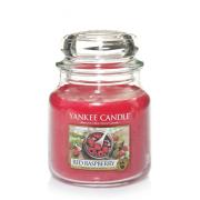 Yankee Candle Red Raspberry Housewarmer 411g