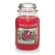 Yankee Candle Red Raspberry Housewarmer 623g