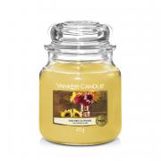 Yankee Candle Golden Autumn Housewarmer 411g