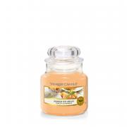 Yankee Candle Mango Ice Cream Housewarmer 104g