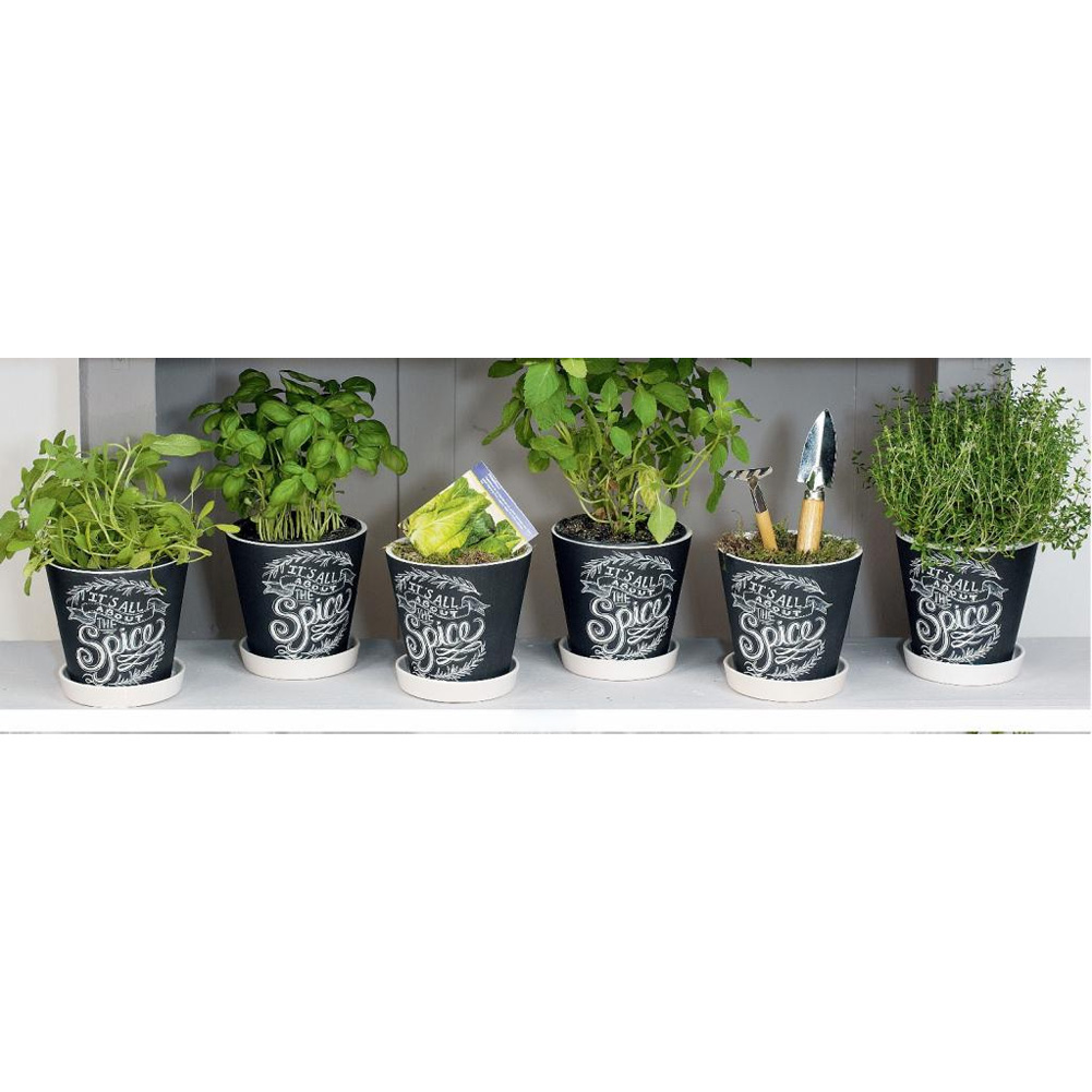 Übertopf für Kräuter SPICE schwarz weiß 13cm
