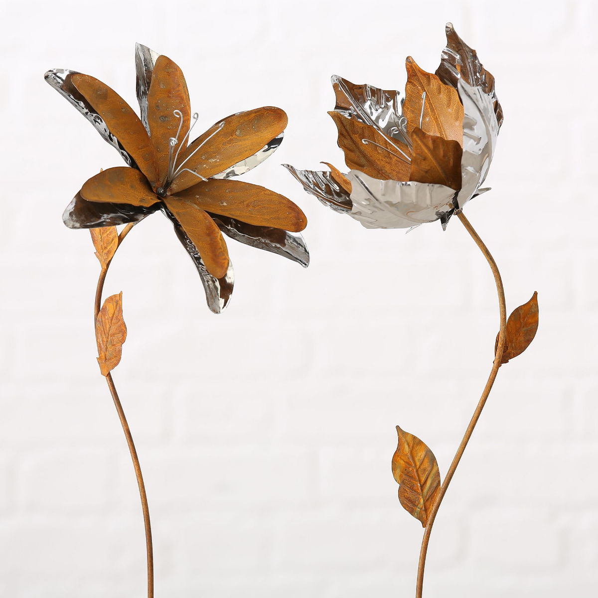 Blume Mit B Blume Mit B