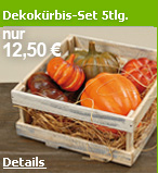 5tlg. Deko-K�rbisset in prakischer Holzbox