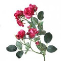 Kunstblumen & -pflanzen
